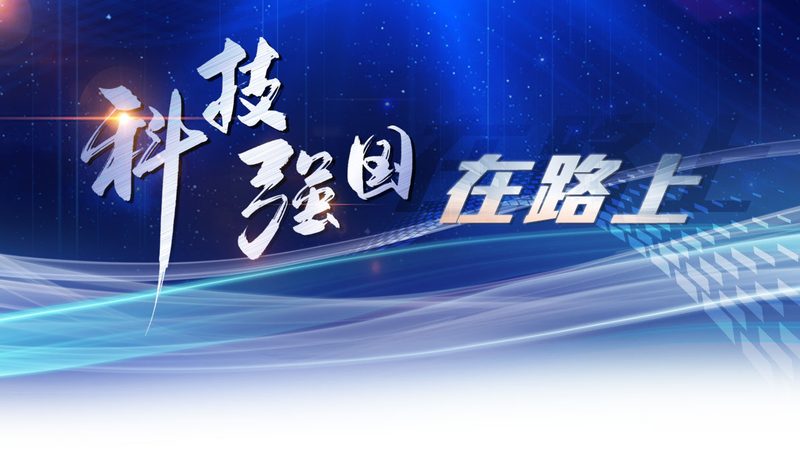知识图谱存储实施步骤：构建企业智能决策基石